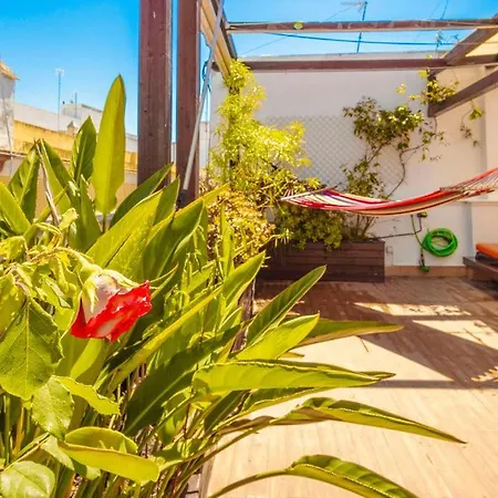 Cadizz-atico El Falla Con Terraza De 40m2 * كاديز