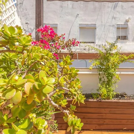Cadizz-atico El Falla Con Terraza De 40m2 شقة *